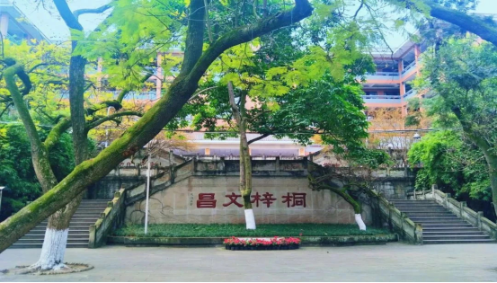 桐梓文昌，青绿成歌！内江一中获评“首届四川省美丽校园”832.png