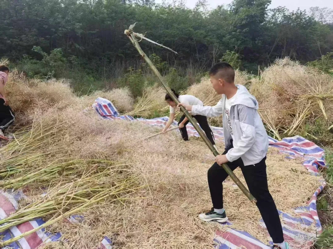割草2.jpg