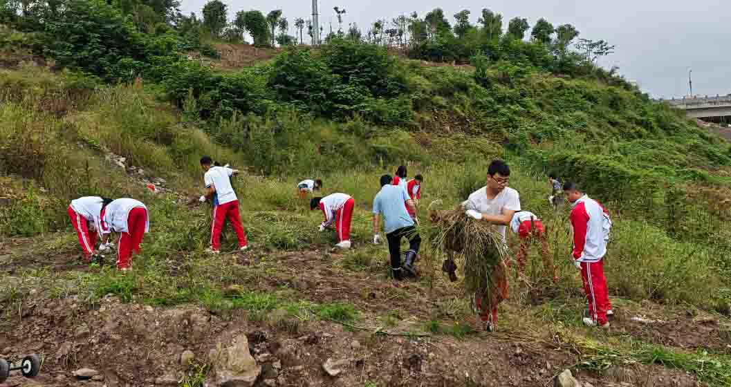 1761892980752002713.jpg 22222222.jpg