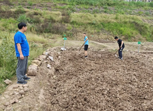 1761893155064047374.png 44444444444.png