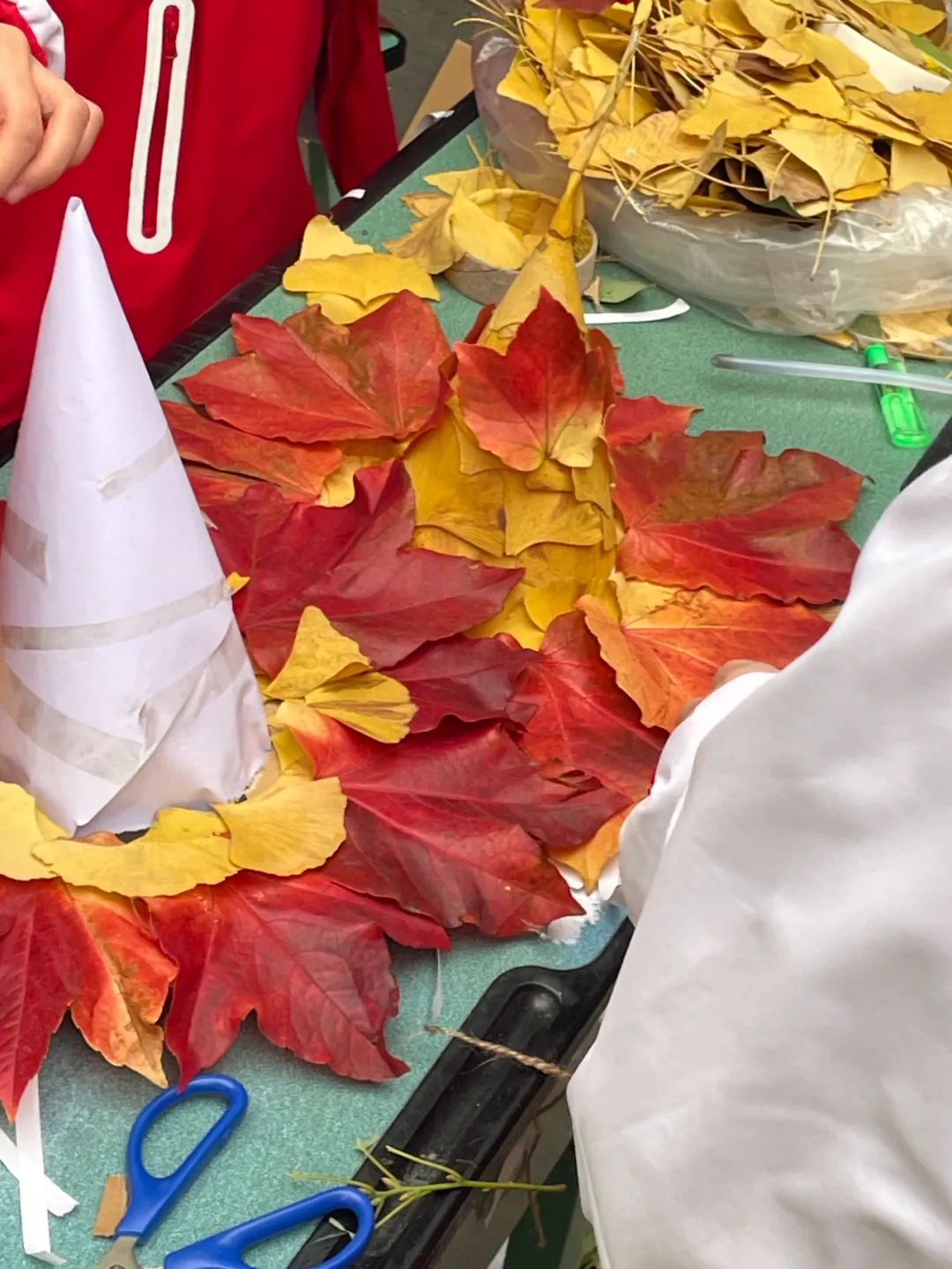 1765329440030025594.jpg 2.jpg