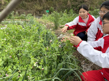 基地变课堂，生物这样学——内江一中依托劳动实践基地开展生物学科实践教学258.png