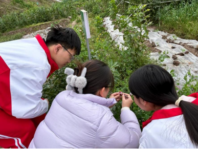 基地变课堂，生物这样学——内江一中依托劳动实践基地开展生物学科实践教学416.png